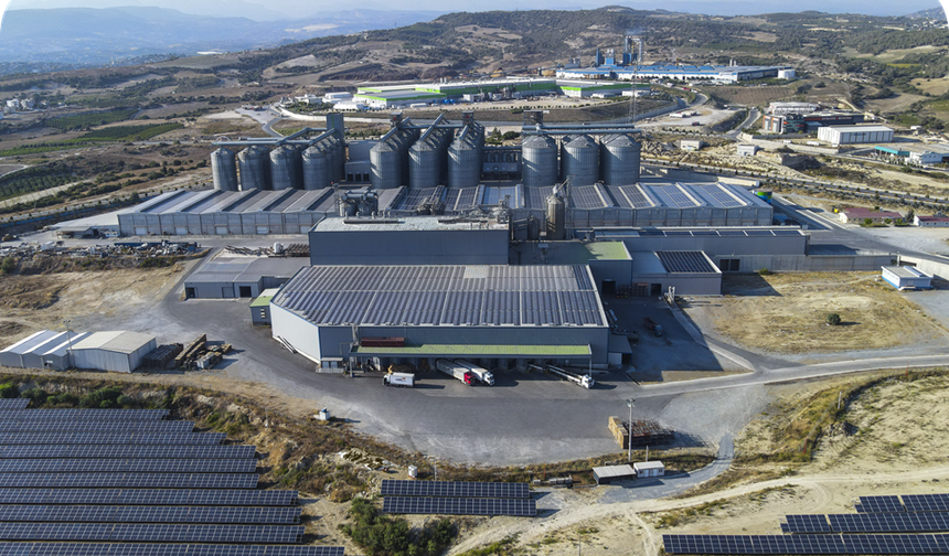 Tiryaki Anadolu Holding halka arz için SPK’ya başvurdu