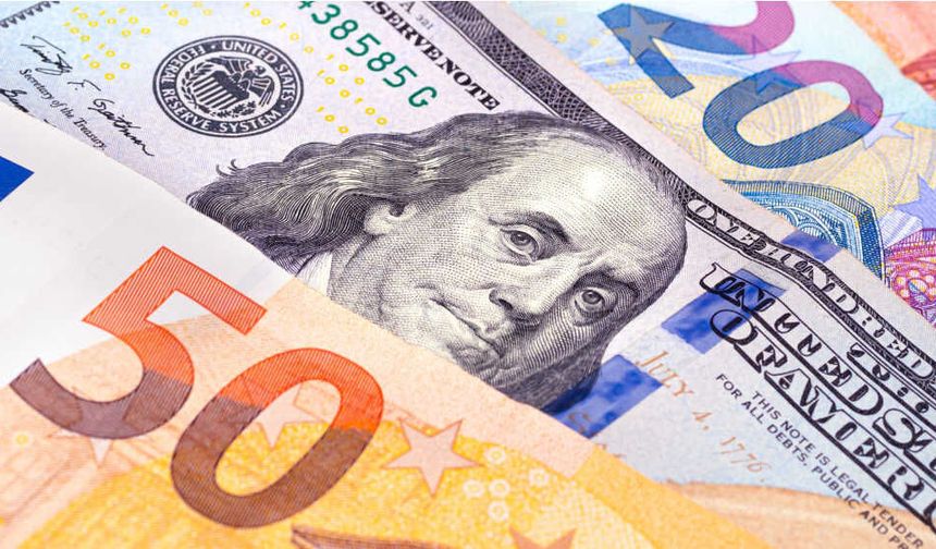 Doların sert çıkışına karşın bankalar euroda ısrarcı