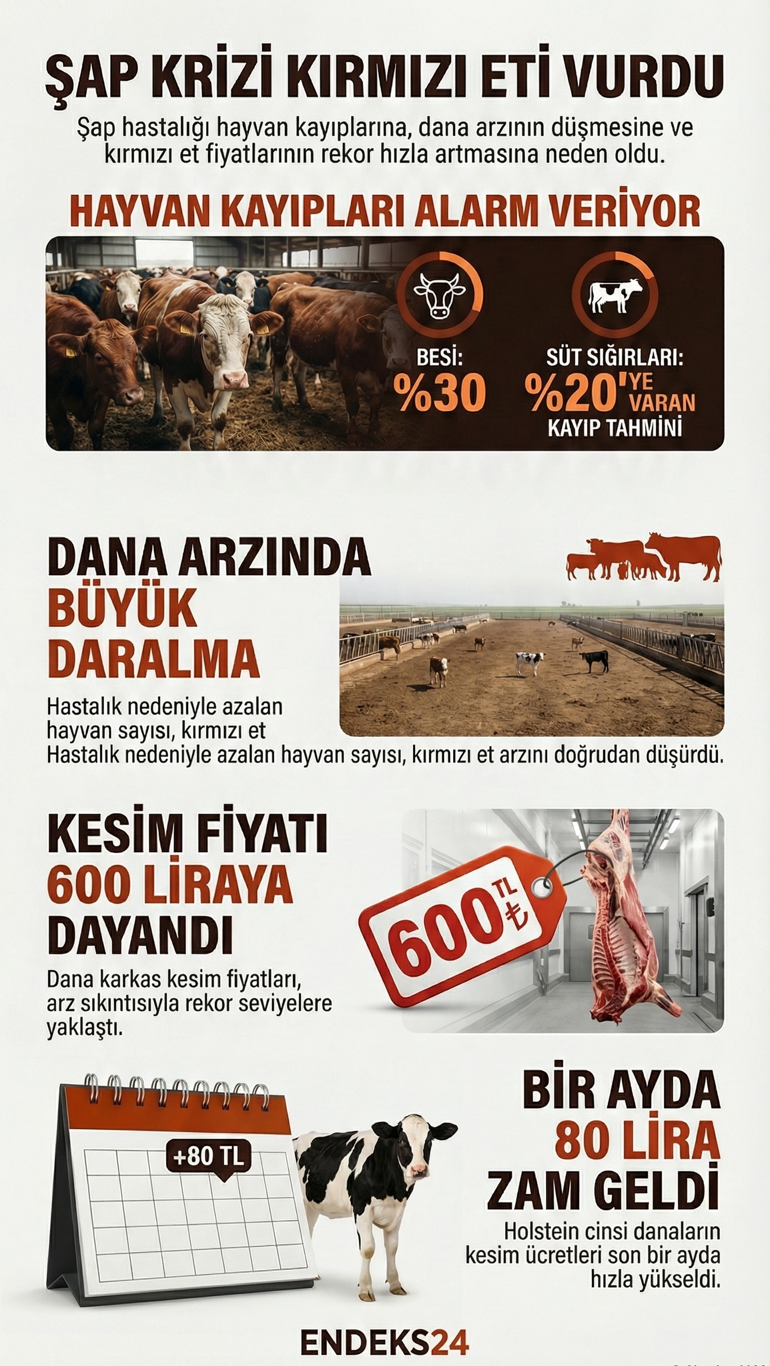 Şap hastalığının dana arzı ve kırmızı et fiyatları üzerindeki etkisini gösteren bilgilendirici infografik.