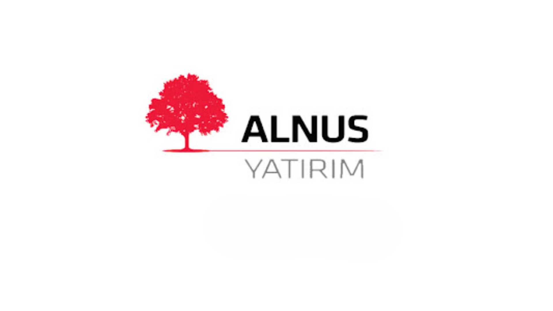 SPK cezaları sonrası Alnus Yatırım'da başkan değişti