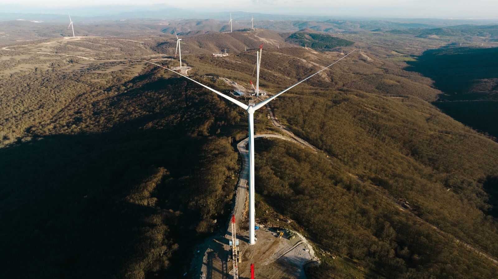 Metgün’de 5 günlük alım planı, kaynak şirkete aktarılacak